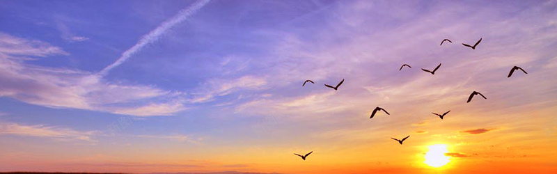 天空飞鸟剪影背景jpg设计背景_88icon https://88icon.com 天空 飞鸟 剪影 风景 蓝色 太阳 海报banner 摄影