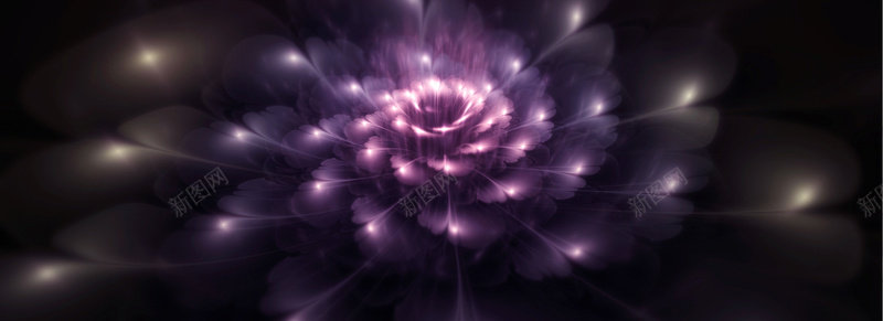 梦幻紫色发光的花朵背景jpg设计背景_88icon https://88icon.com 黑背景 发光 梦幻 紫色 花朵 海报banner