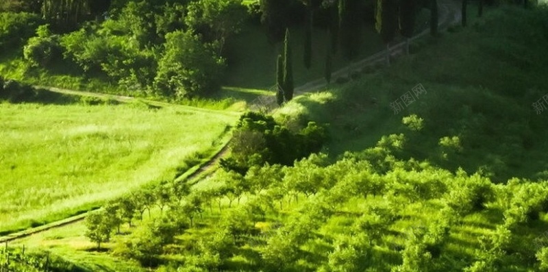 绿色风景田园H5背景jpg设计背景_88icon https://88icon.com 草地 城堡 风景 彩色 田园 H5 h5 摄影