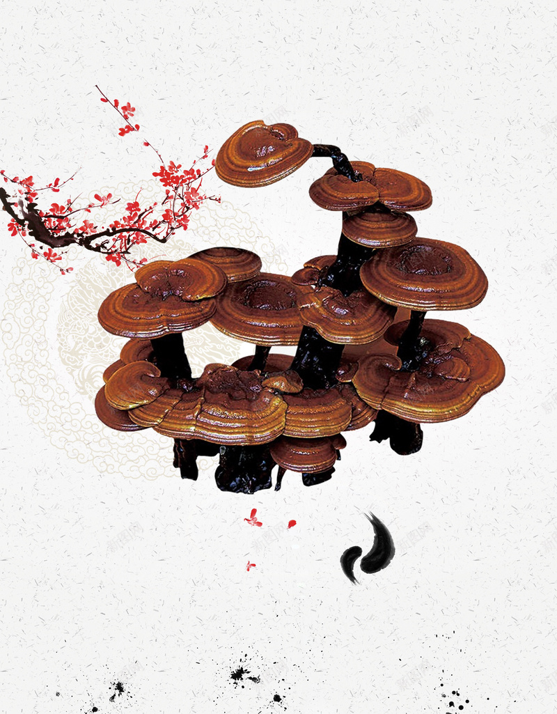 中国风梅花灵芝草药海报背景素材psd设计背景_88icon https://88icon.com 养生食材 广告设计 梅花枝头 灵芝素材 中国风 灵芝草药 膳食养生 灵芝种植 灵芝销售 海报背景 温暖