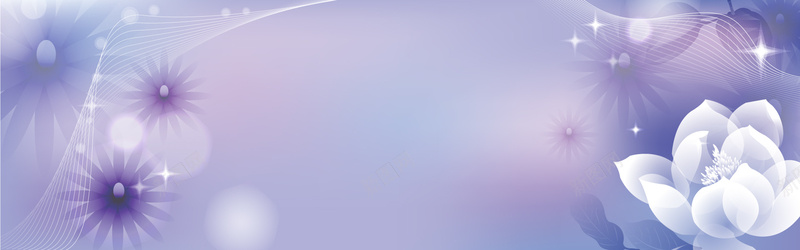 紫色牡丹花背景背景