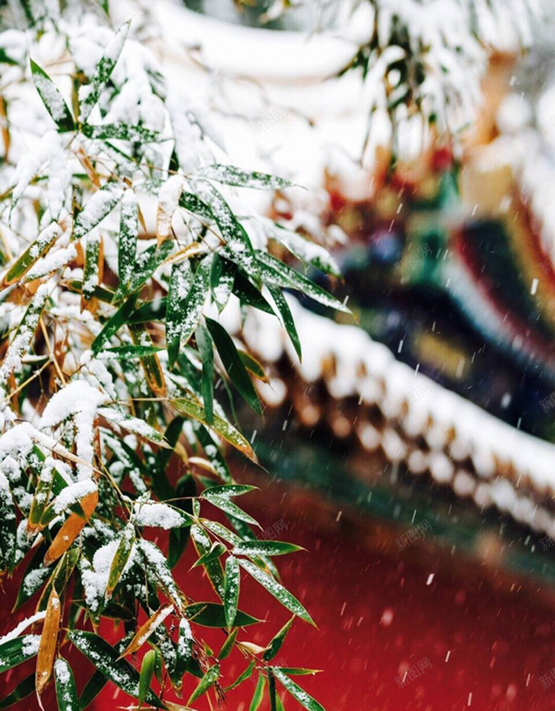 冬季覆雪的中国风建筑H5背景素材jpg设计背景_88icon https://88icon.com 冬季 中国风 建筑 摄影 风景 覆雪 H5背景素材