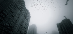 黑白灰色调雾霾冬季城市黑白灰色调天空海报背景高清图片