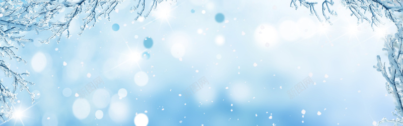 蓝色冰雪jpg设计背景_88icon https://88icon.com 蓝色 梦幻冰雪 冬季 雪松 树枝 海报banner 摄影 风景