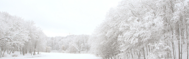 树林雪景psd设计背景_88icon https://88icon.com 女装海报 男装海报 冬天 冬季 雪景 唯美背景 女装背景 海报banner 浪漫 梦幻