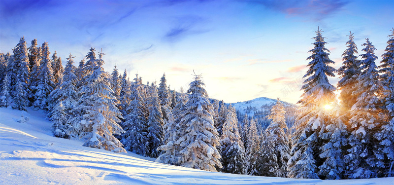 冬季自然风景背景背景