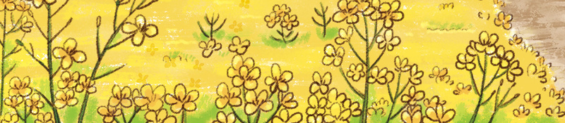 蓝色清新手绘春季油菜花踏青背景psd设计背景_88icon https://88icon.com 油菜花 手绘 春季 清新 蓝色 踏青背景 春天 春游 风车