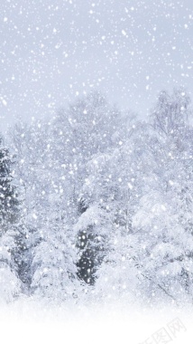 冬天浪漫雪景H5背景背景
