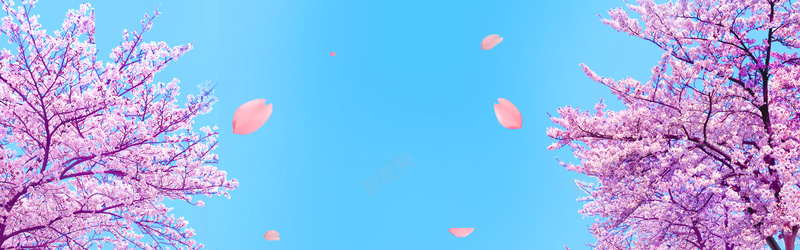 国际樱花节psd设计背景_88icon https://88icon.com 樱花节 女装 春天 樱花 浪漫 国际樱花节 海报banner 梦幻