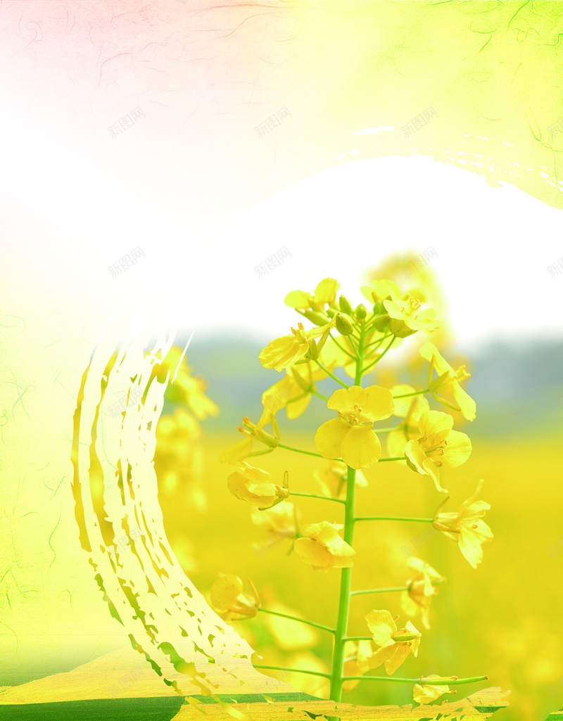 油菜花踏青风景源文件H5背景素材psd设计背景_88icon https://88icon.com 油菜花 奶牛 花朵 蜂蜜 踏青 朦胧 风景 景色背景 彩色蓝天 源文件 H5背景 素材