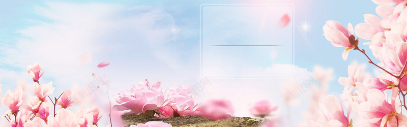 春季粉色梦幻花朵女装电商海报背景背景