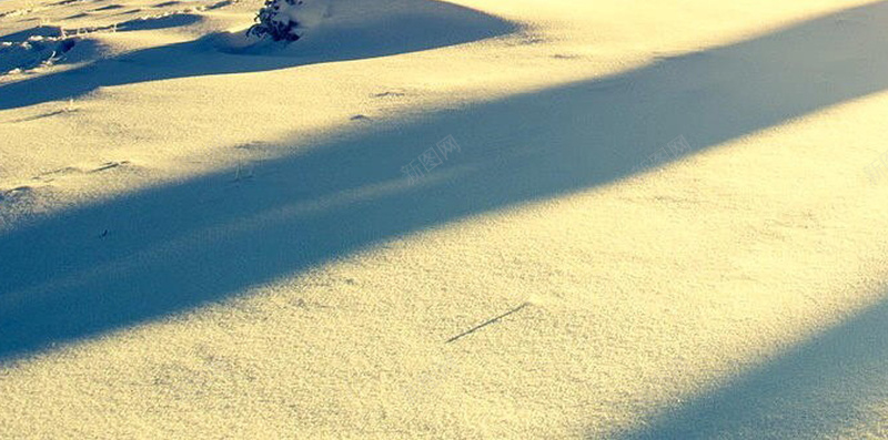 雪松林H5背景jpg设计背景_88icon https://88icon.com 大气 天空 彩色 群山 阳光 H5背景 雪松林 H5 h5