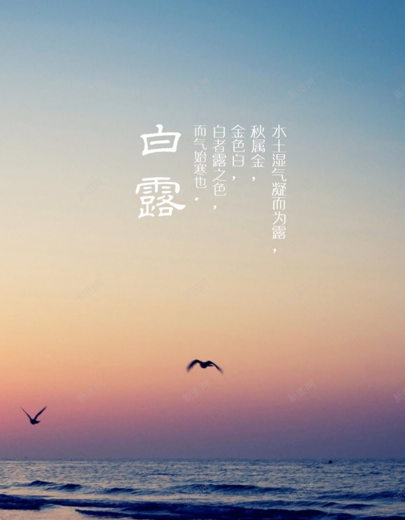 冬H5背景jpg设计背景_88icon https://88icon.com 冬天 白露 美景 冬 H5背景