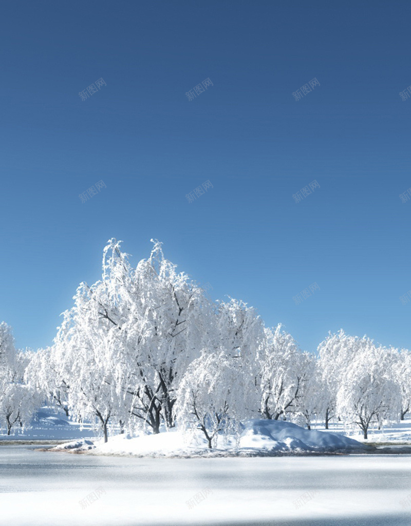 冬天雪地H5背景jpg设计背景_88icon https://88icon.com 蓝天 蓝色 雪地 树 雪 H5背景 H5 h5