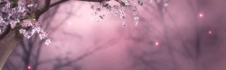 模煳花朵主粉红桃花背景高清图片