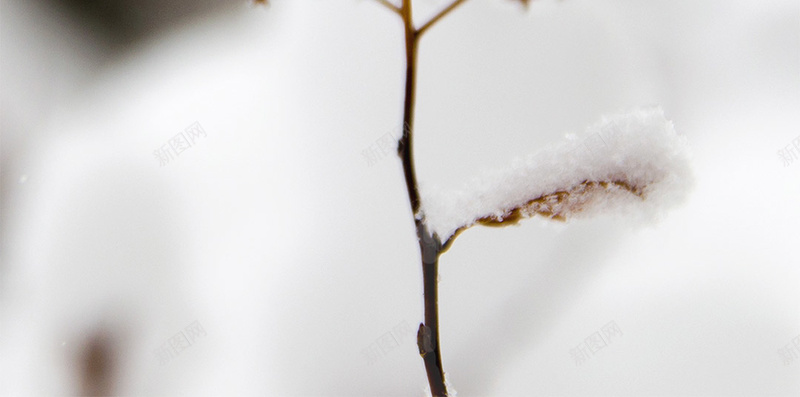 二十四节气冬天立冬小雪雪枯枝psd设计背景_88icon https://88icon.com 二十四节气 冬天 小雪 立冬 雪 枯枝 古诗 山水画 浅色 中国风 立冬节气