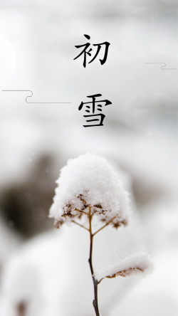 冬天枯枝二十四节气冬天立冬小雪雪枯枝高清图片