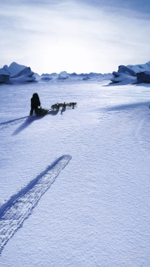 雪中的动物H5背景背景