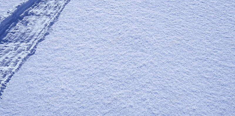 雪中的动物H5背景jpg设计背景_88icon https://88icon.com 天空 白色 雪地 雪山 背影 H5 h5 摄影 风景