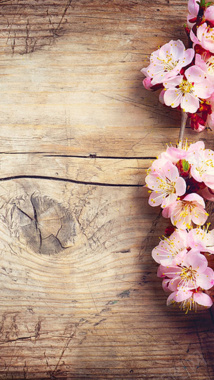 桃花木板展示背景春天H5背景图背景