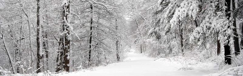 冬天雪树海报背景图背景