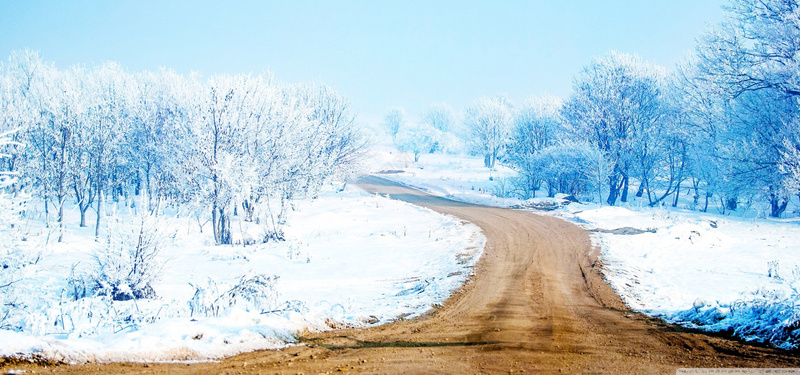 冬季雪景背景jpg设计背景_88icon https://88icon.com 雪景 雪地 树林 雪树 海报banner 道路两旁的雪地 摄影 风景