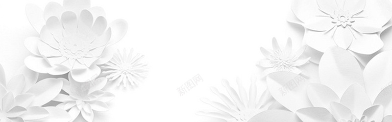 白色花朵纹理质感图背景
