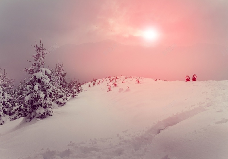 浪漫的冬日美景jpg设计背景_88icon https://88icon.com 粉色 太阳 树 雪