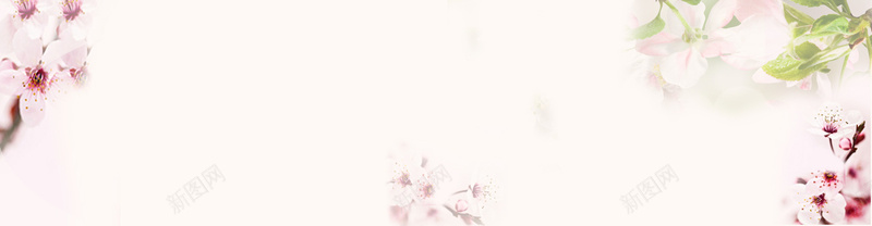 护肤桃花唯美背景bannerjpg设计背景_88icon https://88icon.com 护肤 桃花 唯美 背景 banner 海报banner 其他