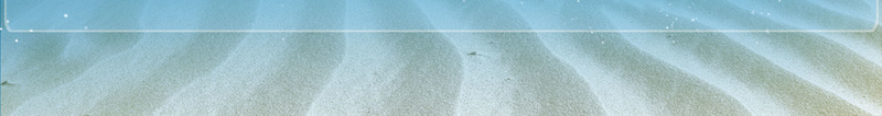 水上乐园游玩活动广告宣传背景素材psd设计背景_88icon https://88icon.com 水上乐园 游玩海报 海底世界 创意海报 广告设计 欢乐水上世界 梦幻有趣 活动主题 宣传背景 欢乐