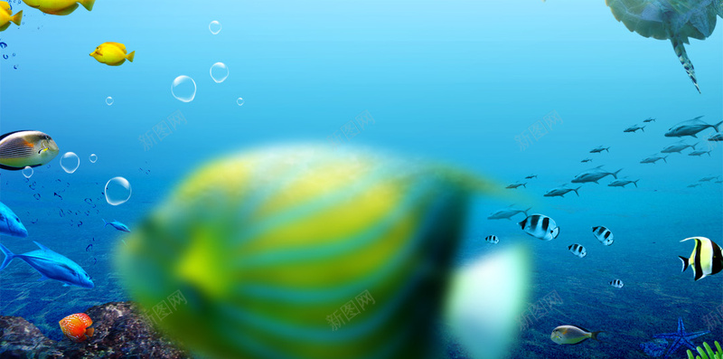 商务六一儿童节海底世界H5背景psd设计背景_88icon https://88icon.com 儿童节 世界 六一 商务 海底 蓝色 天空 大海 儿童 快乐 鱼类