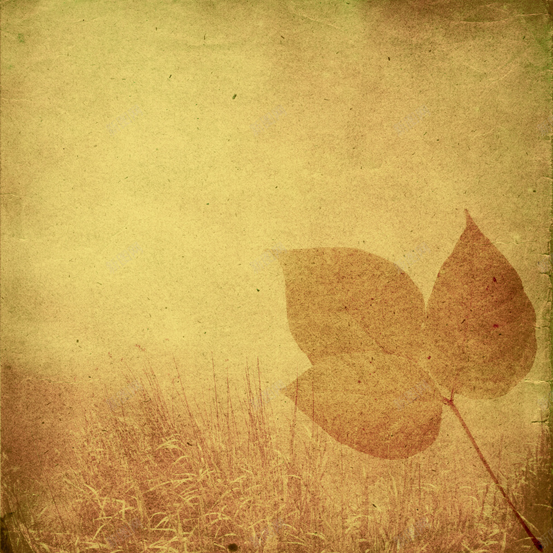 秋冬季复古纸张纹理背景图jpg设计背景_88icon https://88icon.com 秋冬季 复古 纸张 纹理 信纸 质感