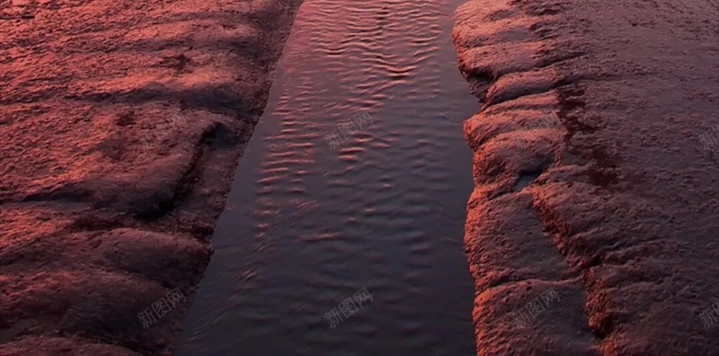 梦幻海滩桥H5背景jpg设计背景_88icon https://88icon.com 海 桥 夜景 风景 彩色 梦幻 海滩 H5 h5 摄影