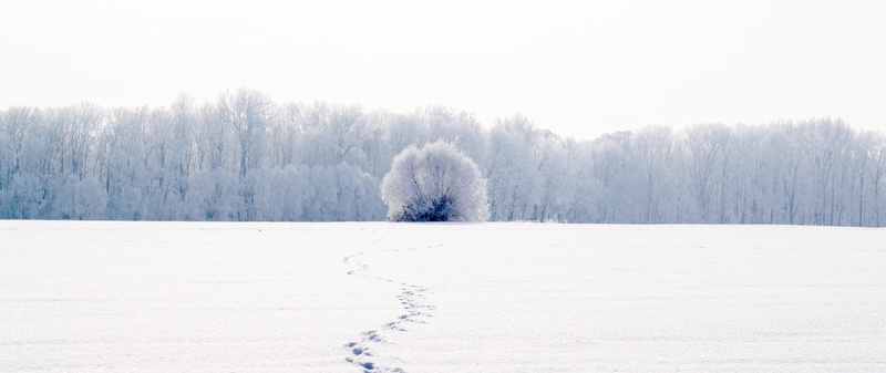 冬季雪景蓝天白云背景图jpg设计背景_88icon https://88icon.com 冬季 雪景 蓝天 白云 背景图 海报banner 摄影 风景