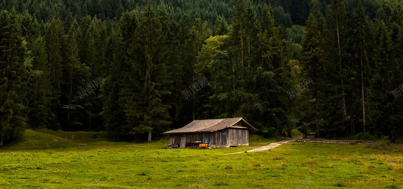 森林草地木屋背景图背景