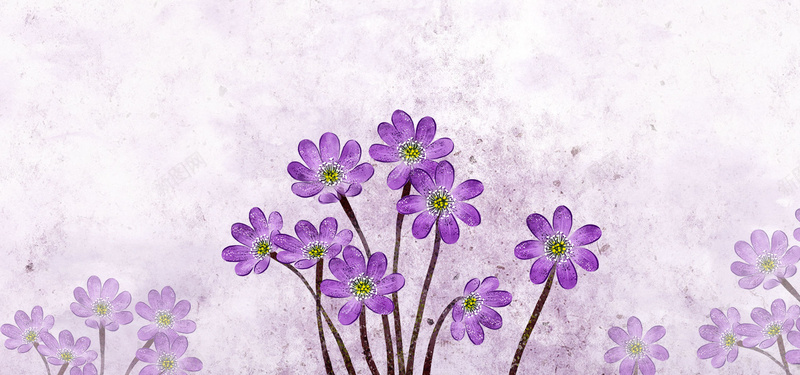唯美的紫色小花背景psd设计背景_88icon https://88icon.com 花朵 手绘 植物 紫色 海报banner 浪漫 梦幻