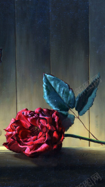 爱情浪漫玫瑰背景素材背景