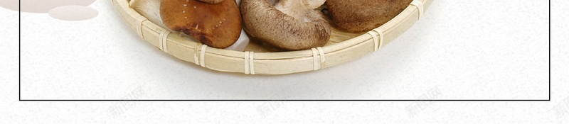 简约美味香菇促销psd设计背景_88icon https://88icon.com 野生蘑菇 食用蘑菇 花菇 蘑菇 香菇 蘑菇真菌 食用菌 松菌 平菇 平面设计 分层文件 PSD源文件 150PPI