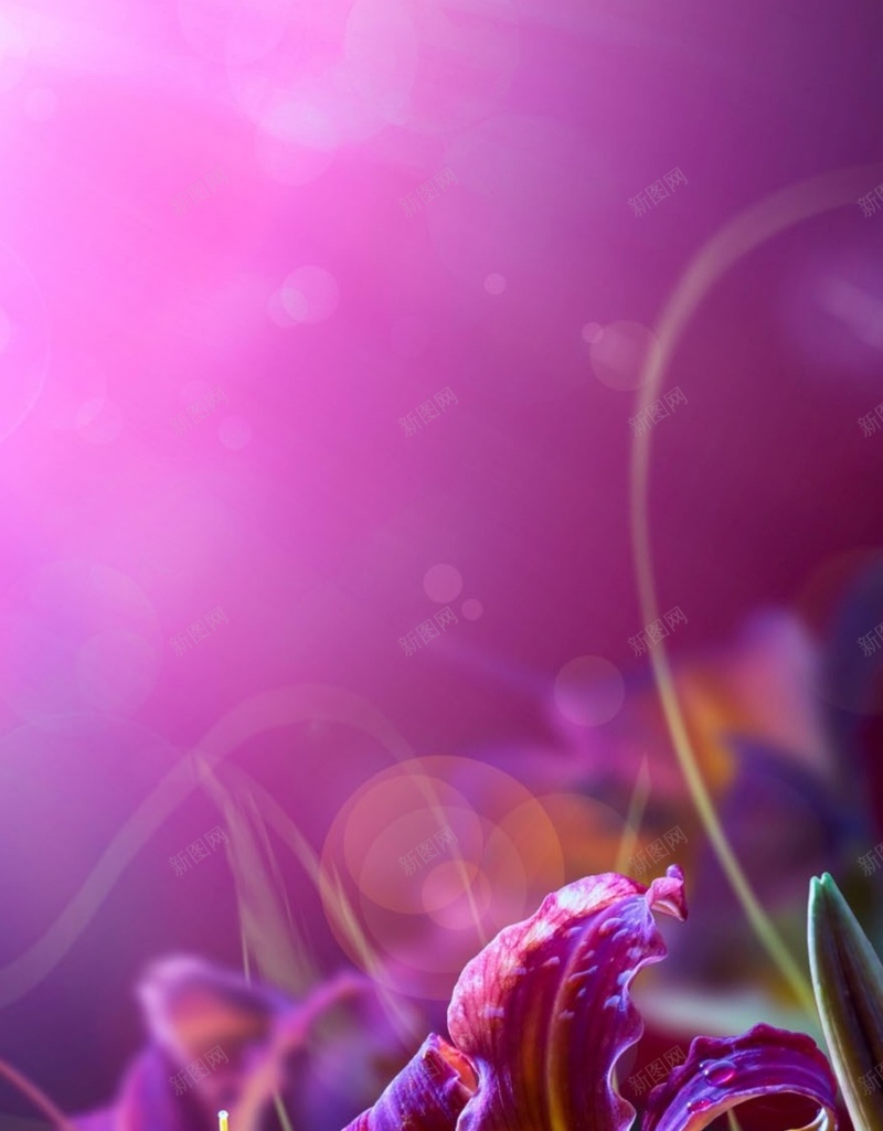 风景紫色花朵漂亮H5背景素材jpg设计背景_88icon https://88icon.com 风景 紫色 花朵 漂亮 黄色 H5 摄影