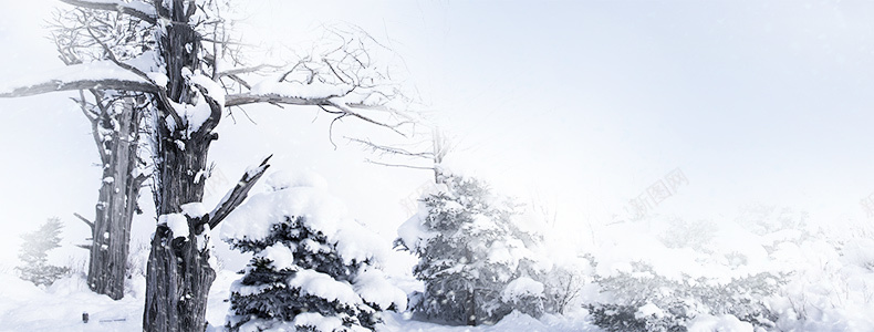 冬季积雪背景jpg设计背景_88icon https://88icon.com 详情页海报 冬季 树木 积雪 雪景 大气