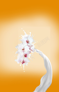 牛奶花简约海报背景素材背景