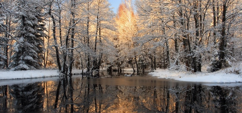 雪地深林海报背景背景