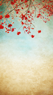 中国风纸质花朵浪漫背景素材背景