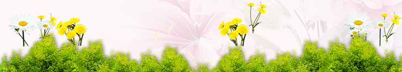 清新简约照片墙粉花绿草海报宣传背景图psd设计背景_88icon https://88icon.com 清新 照片 简约 粉花 黄花 昆虫 绿草 海报 宣传