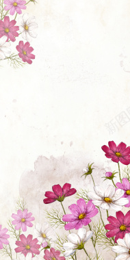 现代清新花卉美妆节电商海报背景背景