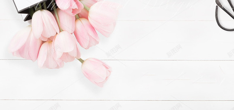 花卉背景图jpg设计背景_88icon https://88icon.com 花卉 粉色 郁金香 白色 海报banner 摄影 风景