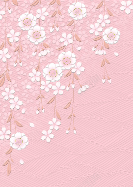 粉色立体花卉背景背景
