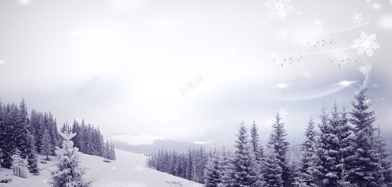 淘宝大气冬天雪景全屏背景背景