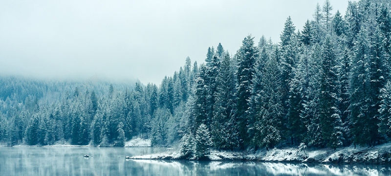 冬季雪景蓝天白云雾凇背景图背景