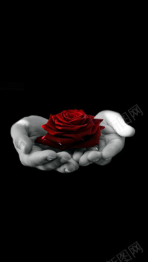 浪漫你是我手中的玫瑰H5背景背景